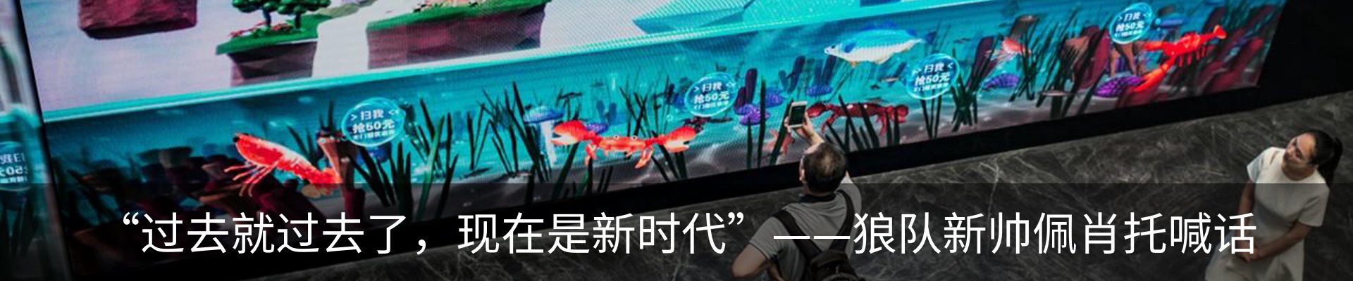 最新动态