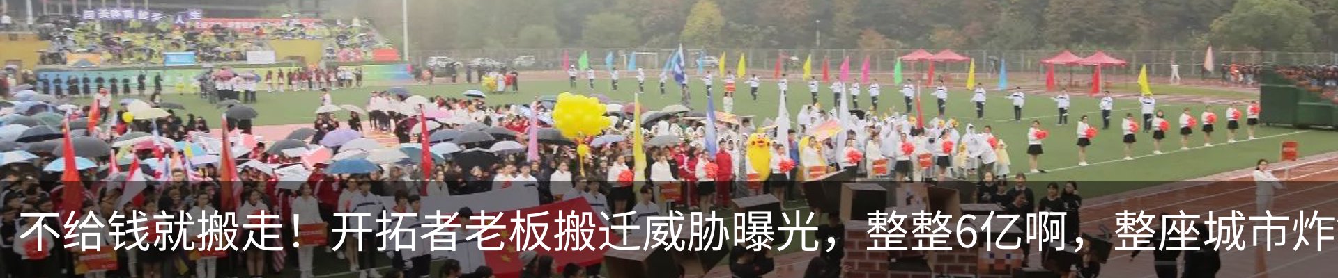 最新动态