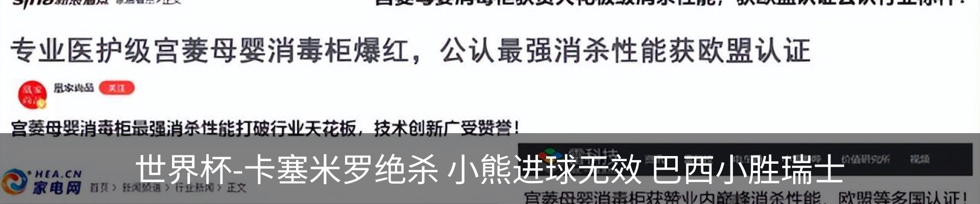 最新动态