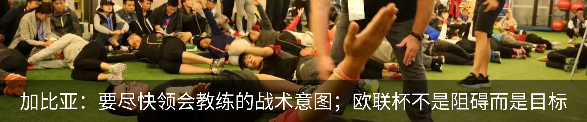最新动态