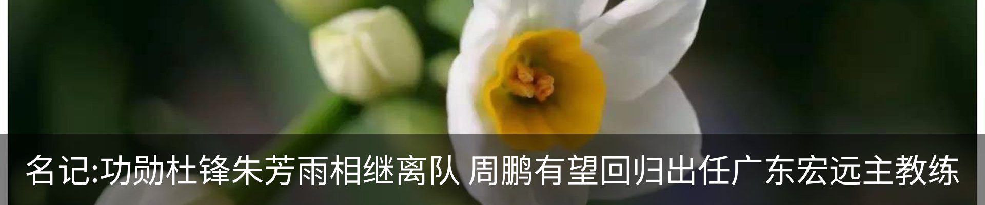 最新动态