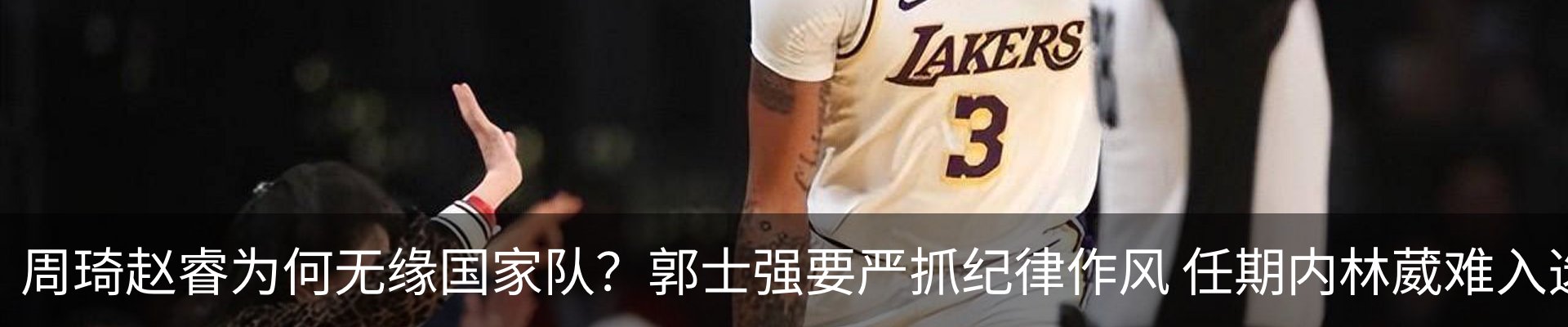 最新动态
