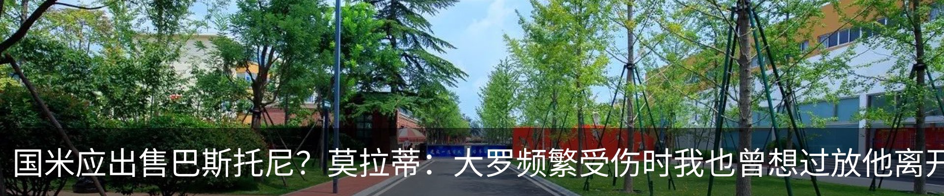 最新动态