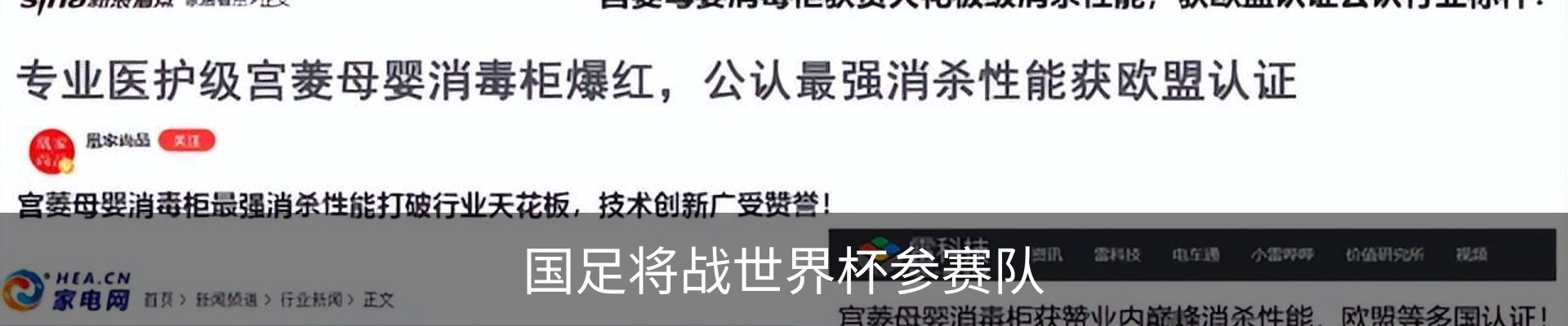 最新动态