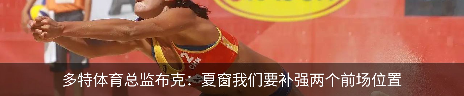 最新动态