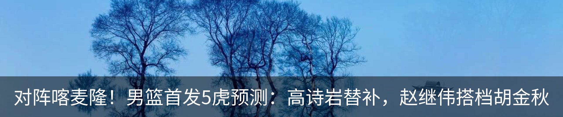 最新动态
