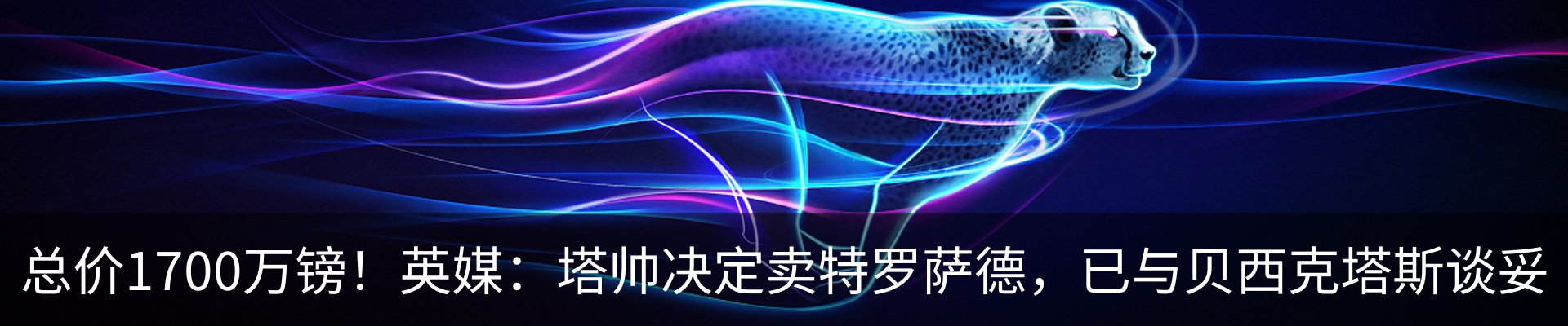 最新动态