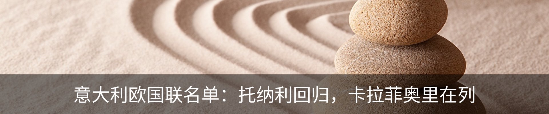 最新动态