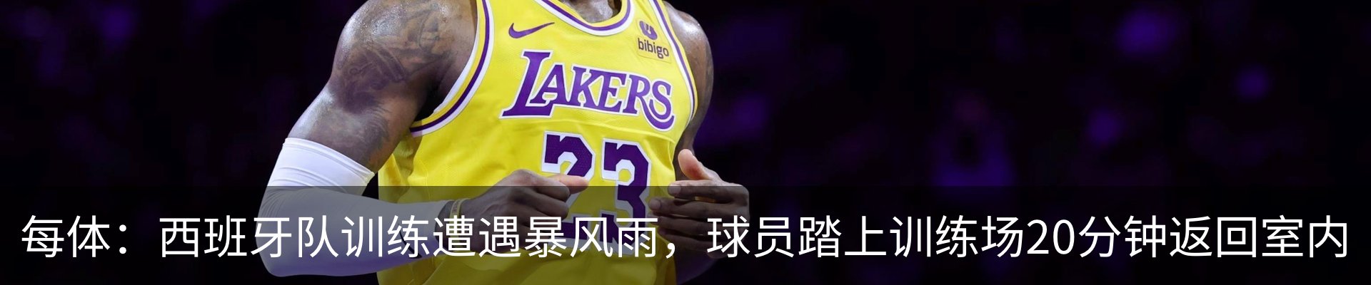 最新动态