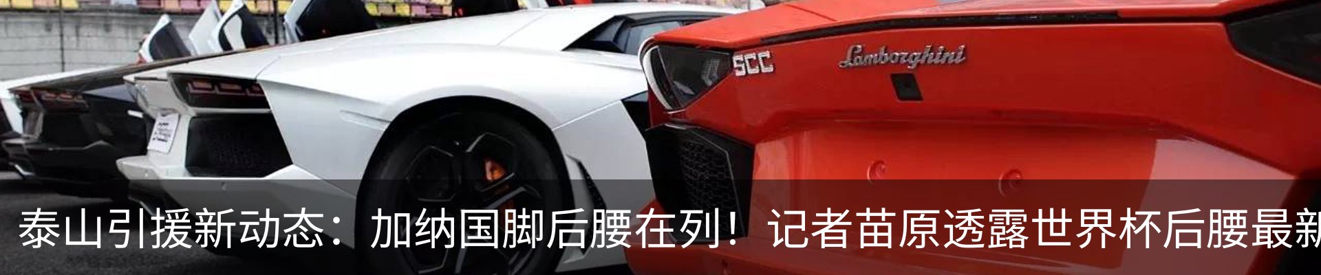最新动态