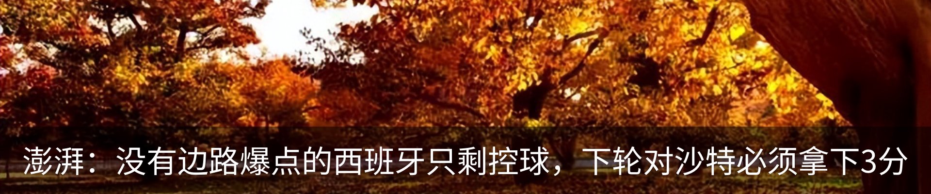 最新动态