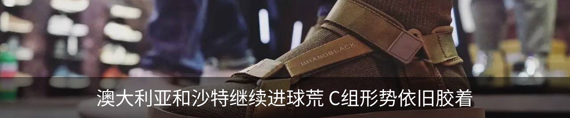 最新动态