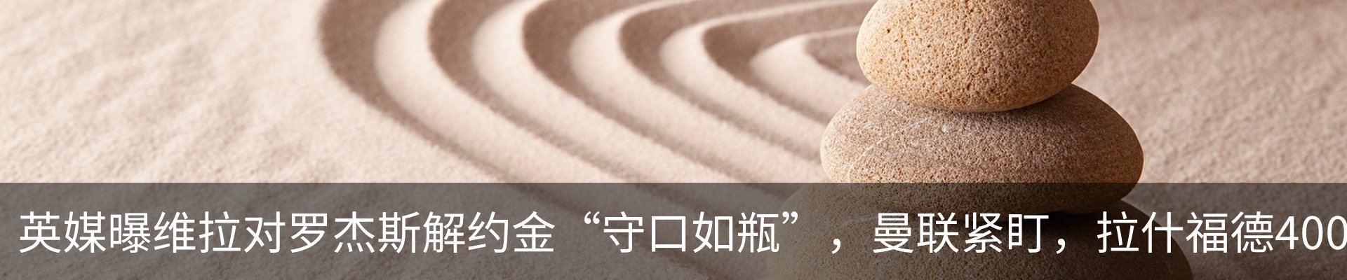 最新动态