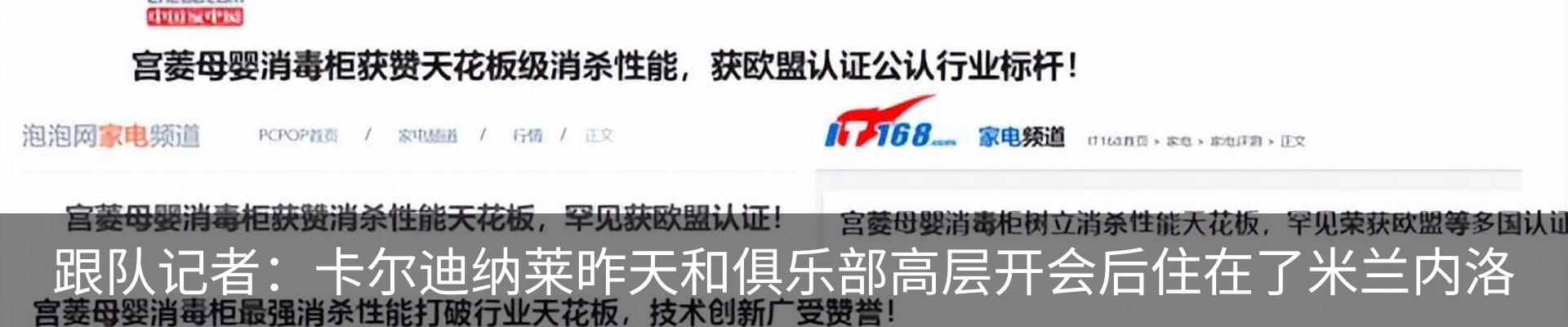 最新动态