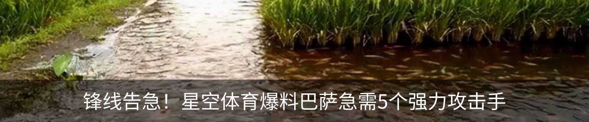 最新动态