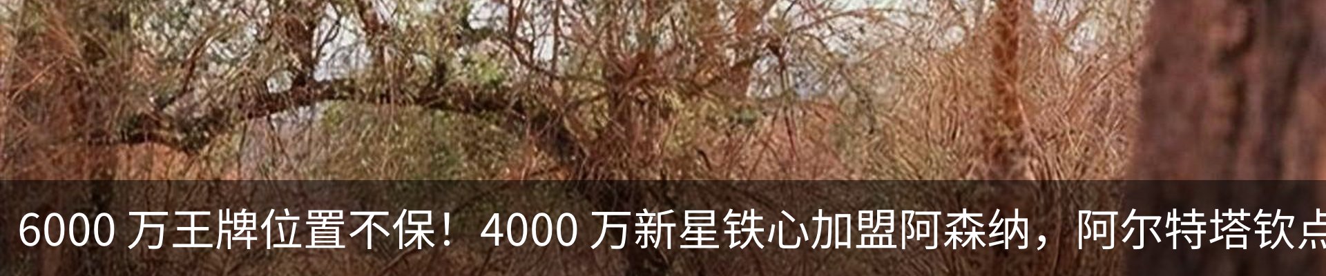 最新动态